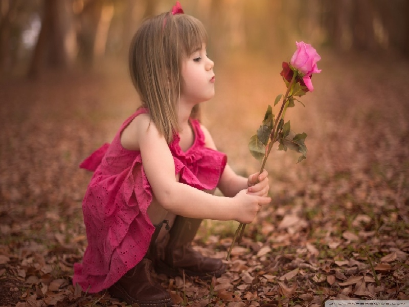 鼓楼试管初次就诊，试管 卵泡 左右 长